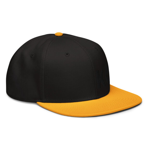 Snapback Hat - Image 11